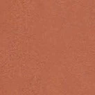 DILL TOP | TAN 8 DILL TOP | TAN - Image 6