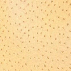 ALEC BAG | WALNUT OSTRICH EMBOSSED -Staud STAUD ALEC BAG WALNUT FALL 23 ECOM 2 8b897917 6510 44e2 a975 610f70a71632