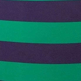 DEVON HIGH RISE BIKINI BOTTOM | CABANA STRIPE MULTI 8 DEVON HIGH RISE BIKINI BOTTOM | CABANA STRIPE MULTI - Image 6