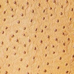 SHIRLEY LEATHER BAG | WALNUT OSTRICH EMBOSSED -Staud STAUD SHIRLEYLEATHER TOTE WALNUT FALL 23 ECOM 1 442f47f3 20ad 4869 b5ab e9da76c2f7a5