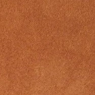 WALLY ANKLE BOOT | TAN SUEDE 12 WALLY ANKLE BOOT | TAN SUEDE - Image 10